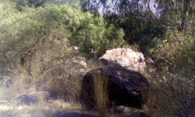Sin identificar cadáver encontrado en Cañada de Ochoa