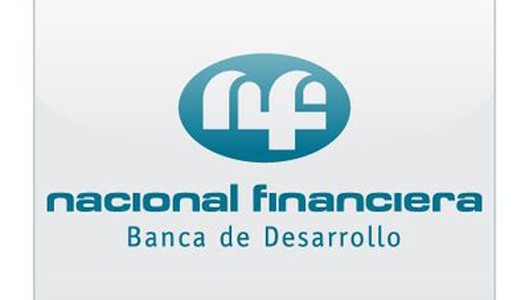 Presta Nacional Financiera 14 mil mdp a pymes en Guanajuato