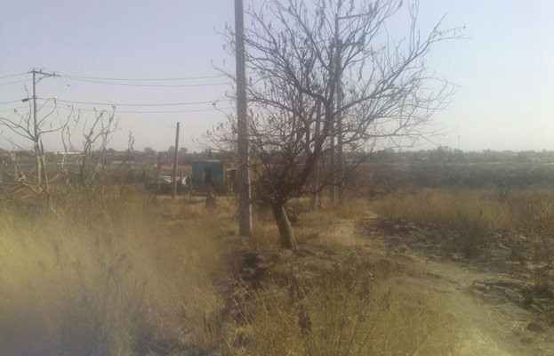 Encuentran osamenta en Barranca de Venaderos