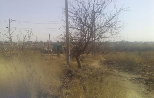Encuentran osamenta en Barranca de Venaderos