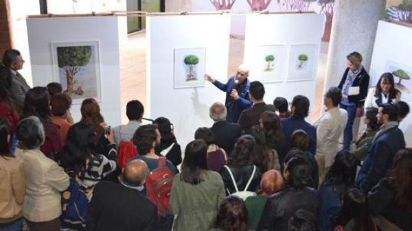 Inauguran en explora exposición “El árbol que un día paseó por el bosque“