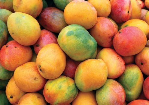 Produce Michoacán mil 400 toneladas de mango
