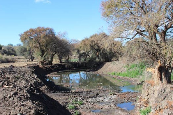 Desazolvan Río Turbio en Manuel Doblado