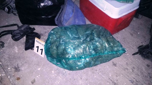 Aseguran droga, vehículos robados y blindados en Santo Domingo
