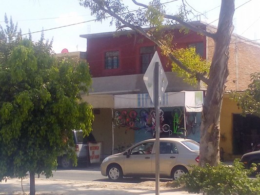 Una sierra le amputó la pierna: murió minutos después