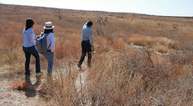 Reforestarán Parque Guanajuato Bicentenario con 40 mil árboles