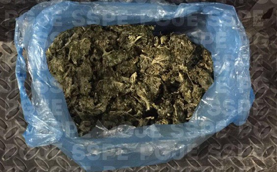 Detienen en León a un joven con más de mil dosis de marihuana