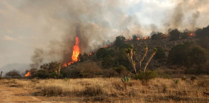 Controlado al 70% incendio forestal en San Felipe y San Diego de la Unión