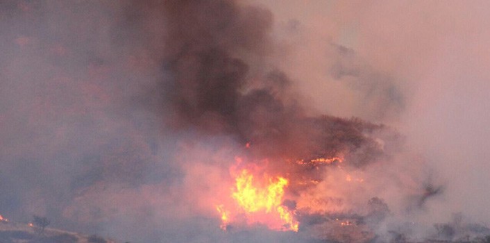 Controlan incendio en cerros Bolita y Chichíndaro en Guanajuato Capital