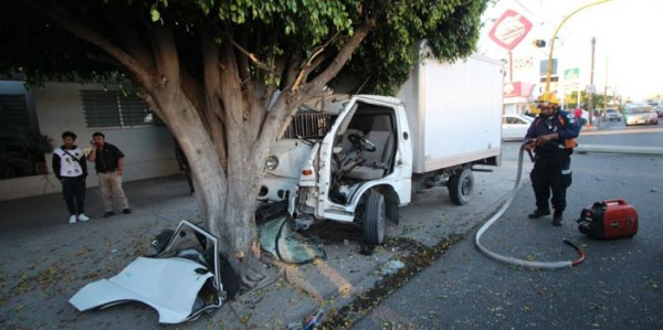 Lesionado al estrellarse contra un árbol en la colonia Arbide