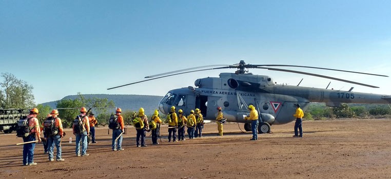 Después de 6 días logran extinguir incendio en la Sierra El Cubo