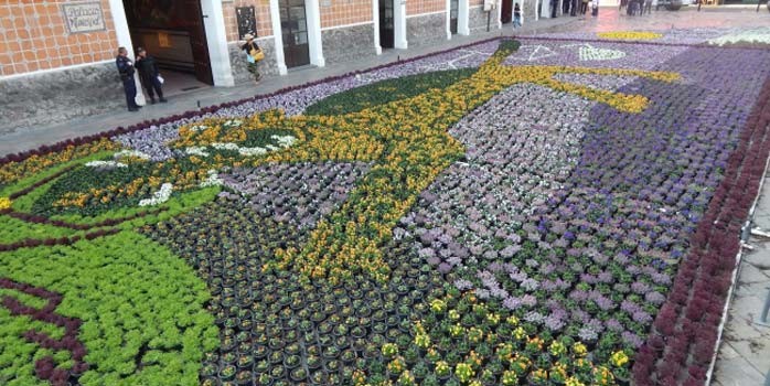 Atlixco exhibe Tapete Monumental de Primavera con 100 mil flores
