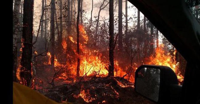 Declaran emergencia en Florida ante aumento de incendios forestales