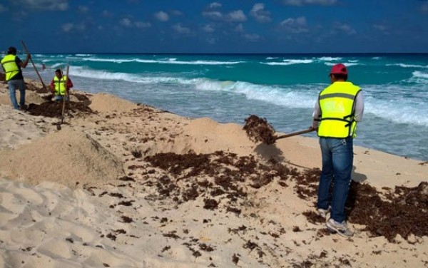 Hasta 2.5 toneladas de basura al día generará turismo en playas de Cancún