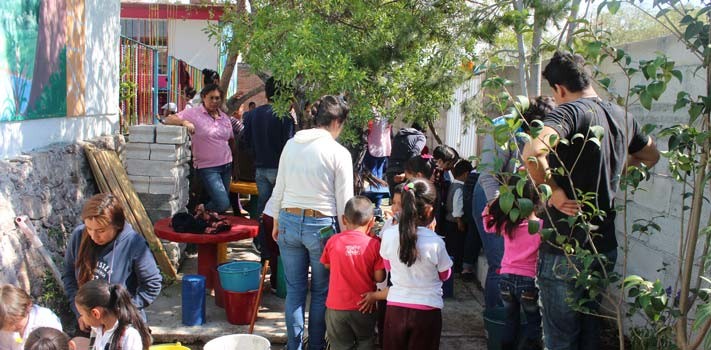 Impulsan creación de jardines polinizadores