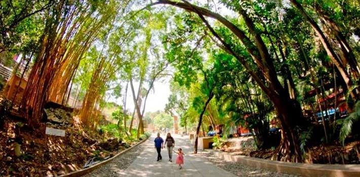 Más de 27 mil personas visitaron el Parque Chapultepec de Morelos en Semana Santa