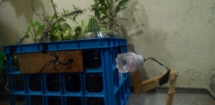 Crean lámpara ecológica; obtiene energía de las plantas