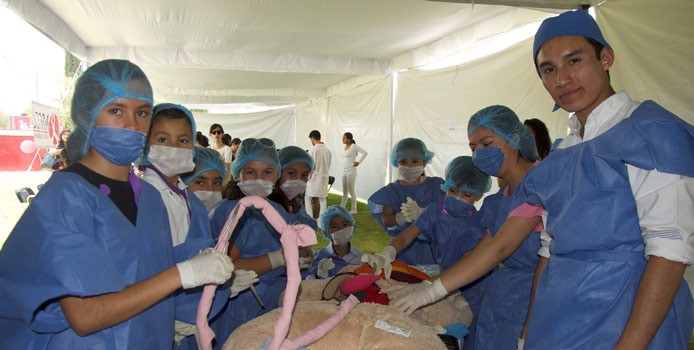 Con hospital de ositos buscan que los niños pierdan el miedo al doctor