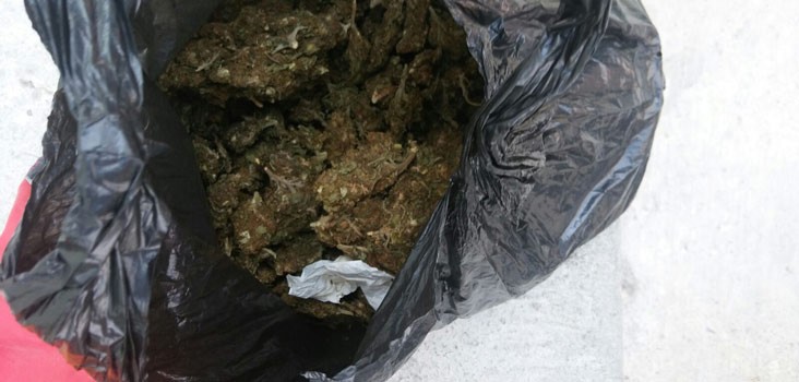 Tras persecución capturan a dos con marihuana