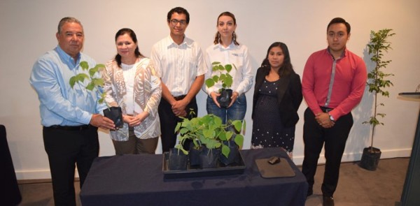 Logran germinar árbol colorín, parte de la identidad de Purísima del Rincón