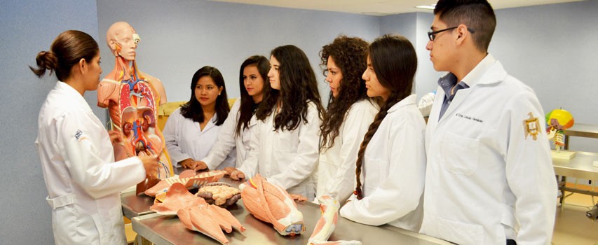 Extranjeras donan sus cuerpos a la Universidad de Guanajuato para la investigación