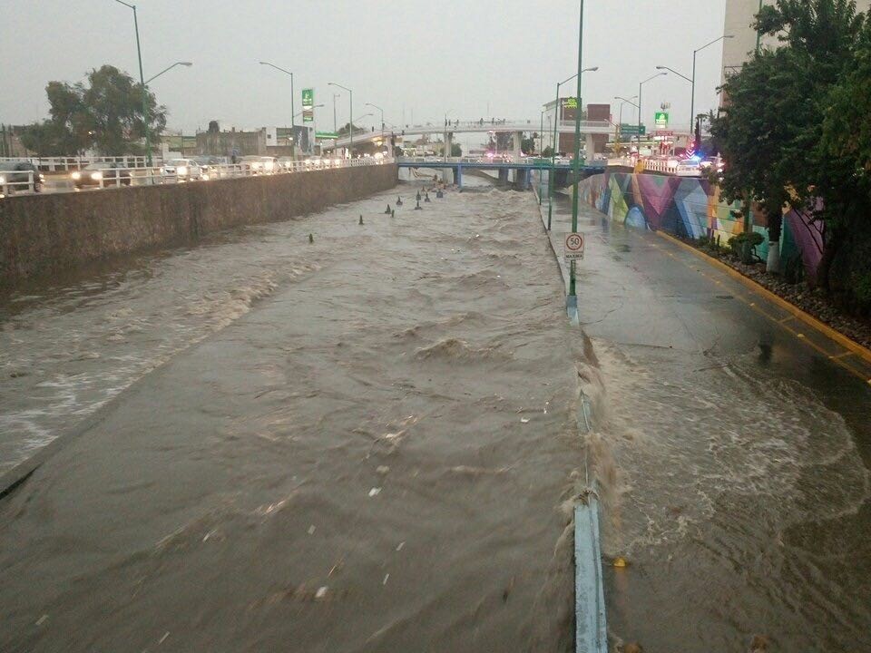 Árboles caídos y viviendas encharcadas, saldo de las lluvias en León