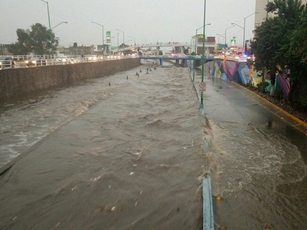 Árboles caídos y viviendas encharcadas, saldo de las lluvias en León