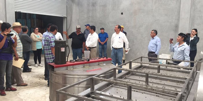 Rehabilitarán planta de extracción de miel en Romita