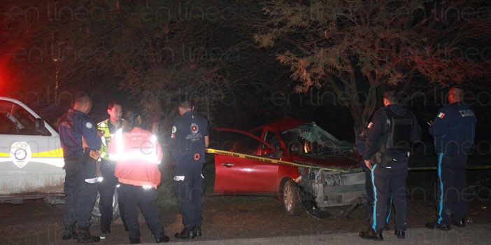 Pierde la vida al estrellarse contra un árbol