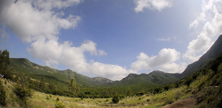 Plantan 2 mil árboles en Sierra de Lobos