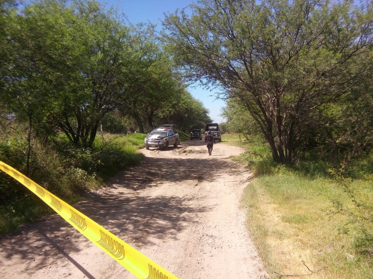Encuentran cadáver en San Carlos La Rocha, era devorado por perros