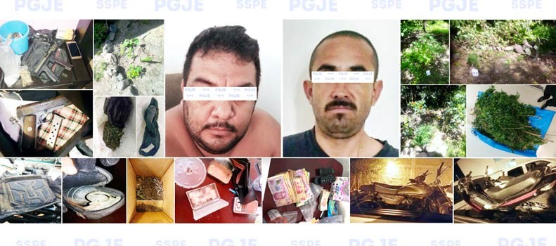 Aseguran arsenal y plantío de droga en Silao y Romita