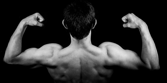Nutrición para el desarrollo muscular