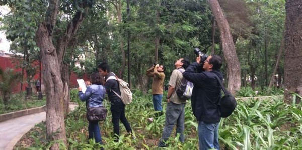“Pajareando en Guanajuato” un proyecto para observar aves en la zona urbana de la capital