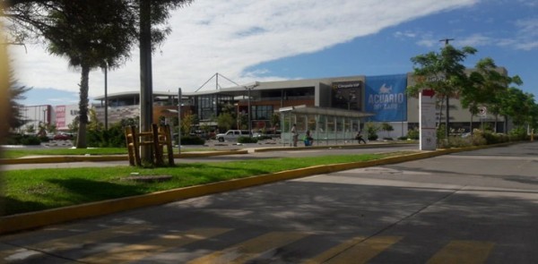 Roban dinero de los cajeros de estacionamiento de Altacia