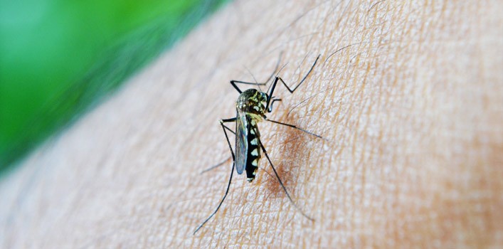 Más de mil casos de Dengue y 2 de Zika en León