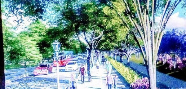 Parque lineal en el Malecón del Río no beneficiará a la movilidad: AMDA