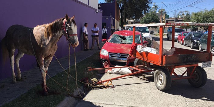 Se desboca caballo y se estrella contra un vehículo estacionado en San Isidro