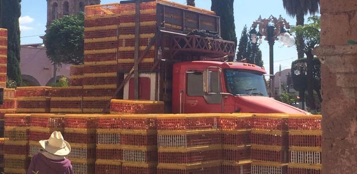 Entrega SDAyR paquetes de aves en San Felipe para aumentar la disponibilidad de alimentos
