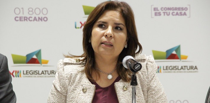 No buscará el Senado a cambio de truncar la estrategia del PVEM en Guanajuato
