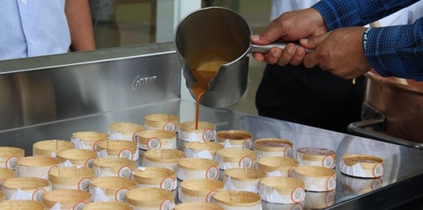 Presentan Marca Colectiva Cajeta de Celaya región de origen