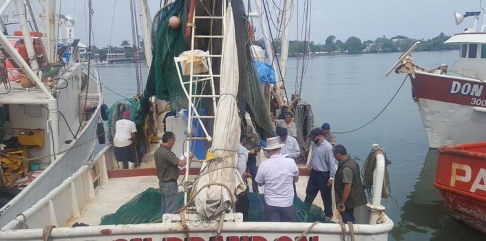 EUA respalda programa de protección de tortugas en Tamaulipas y Veracruz