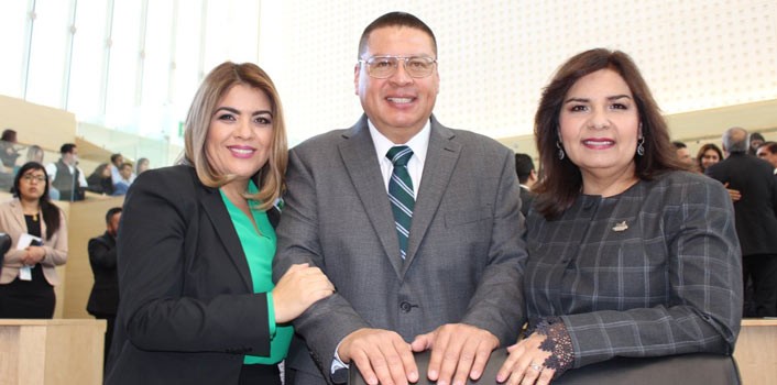 Insiste Partido Verde en la creación de la Secretaría del Medio Ambiente