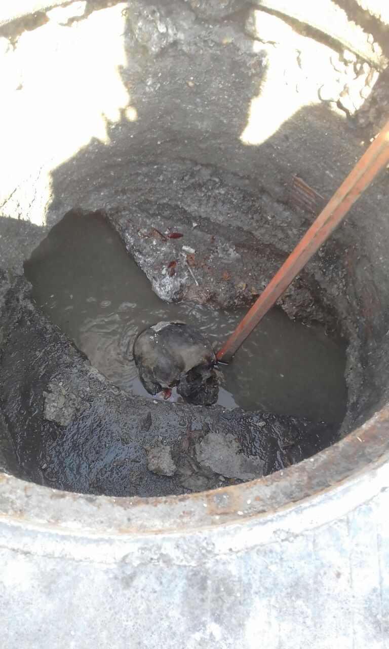 Encuentran cráneo en Brisas del Lago