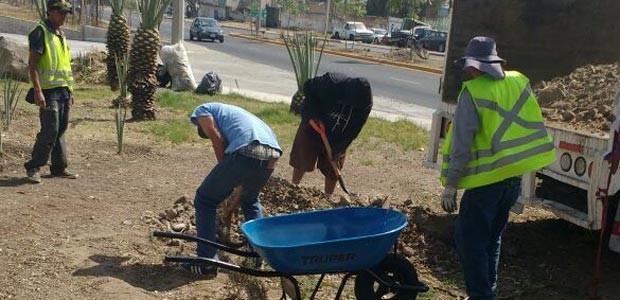 Municipio de León licitará arreglo de camellones