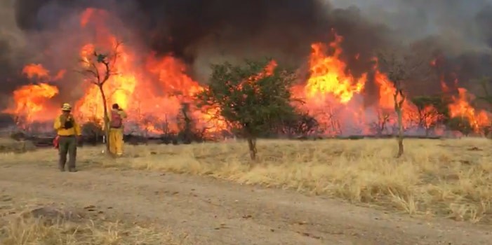 Continúa incendio en Sierra de Lobos