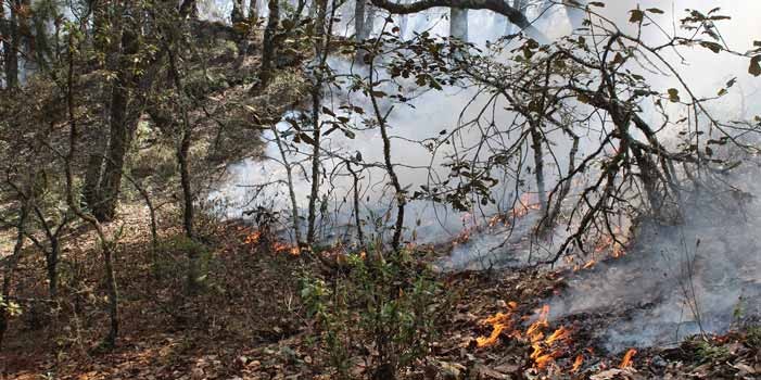 Este miércoles terminarán de extinguir incendio en Sierra de Lobos