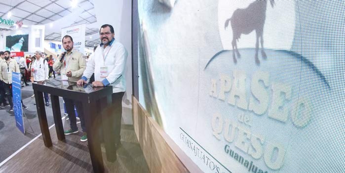 Presentan aPaseo del Queso en Guanajuato