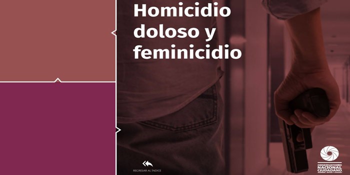 Guanajuato, el segundo estado con más asesinatos y feminicidios