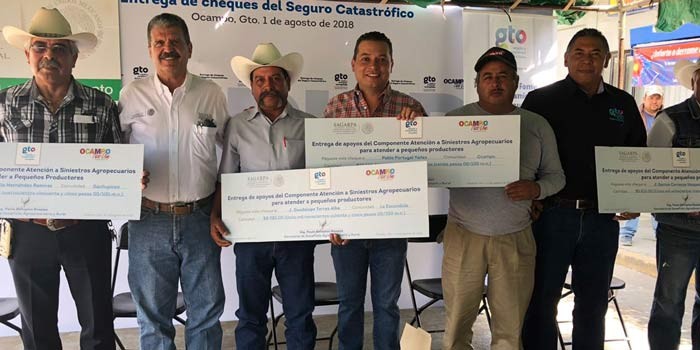 Entrega SDAyR cheques a afectados por sequía en Ocampo